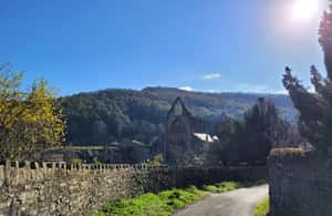 image n.3 of From Cardiff: Guided Tour of Welsh Valleys activity in Tintern, uploaded by supplier