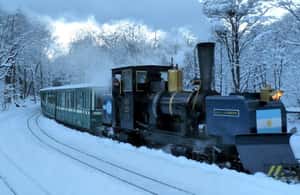 imagen n.º 4 de Ushuaia: Tren del Fin del Mundo y Parque de Tierra del Fuego actividad en Tierra del Fuego, subida por el proveedor