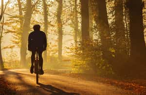 Immagine nº 3 di Da Siena: tour in bici elettrica nel Chianti attività a Siena, caricata dal fornitore