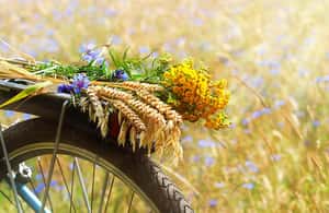 Immagine nº 4 di Da Siena: tour in bici elettrica nel Chianti attività a Siena, caricata dal fornitore