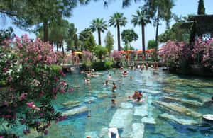 image n.4 of Marmaris: Pamukkale, Hot Spring, Travertines Tour with Lunch activity in Pamukkale, uploaded by supplier