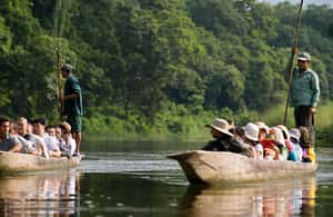 image n.3 of Kathmandu/Pokhara: 3 Day Chitwan Jungle Safari Tour activity in Pashchimanchal, Western Region, uploaded by supplier