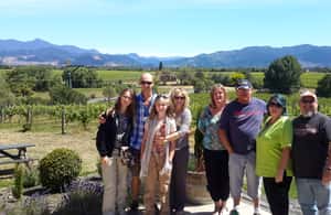 image n.3 of Marlborough Half-Day Wine Tour from Blenheim activity in Blenheim, uploaded by supplier