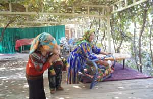 afbeelding n.3 van Privétour van Urumqi naar Turpan activiteit in Turpan, geüpload door aanbieder