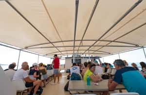 image n.3 of Santa Pola: Tabarca Catamaran Cruise with Underwater Vision activity in Valencian Community, uploaded by supplier