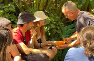 Bild Nr. 3 von La Palma: Tour durch den essbaren Wald PlatanoLógico Aktivität in Kanaren, hochgeladen vom Anbieter