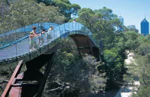 image n.3 of Half-Day Morning Perth & Fremantle City Explorer activity in Perth, uploaded by supplier