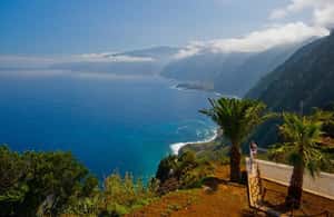 Faial, Madeira içindeki Funchal'dan: Kuzey Sahili Günübirlik Gezisi etkinliğinin tedarikçi tarafından yüklenen 3 no'lu görseli