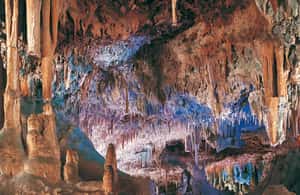 bild nr.3 av Mallorca: Hams grottor, Blå grottan och audiovisuellt aktivitet i Porto Cristo, uppladdad av arrangören