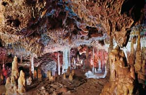 bild nr.4 av Mallorca: Hams grottor, Blå grottan och audiovisuellt aktivitet i Porto Cristo, uppladdad av arrangören