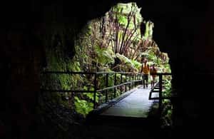 Immagine nº 4 di Da Oahu: Avventura sul vulcano dell'Isola Grande attività a Hawaii, caricata dal fornitore