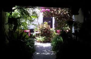 imaginea n.4 a activității Fuerteventura: Turul insulei cu microbuzul în La Oliva, încărcată de organizator