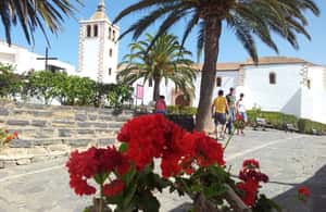 imaginea n.3 a activității Fuerteventura: Turul insulei cu microbuzul în La Oliva, încărcată de organizator