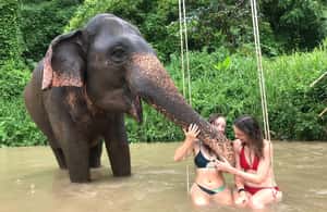 image n.4 of Chiang Mai: Elephant Sanctuary & Waterfall Group Tour activity in Chiang Mai, uploaded by supplier