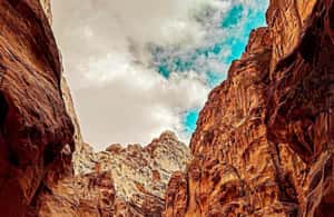 image n.3 of Petra Full-Day Private Tour From Amman activity in Capital Governorate Amman, uploaded by supplier