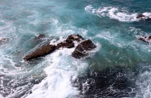 4. attēls no Fuerteventuras dienvidu visas dienas ekskursija aktivitātes Tuineje, augšupielādējis partneris