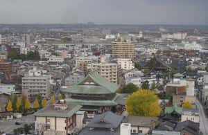 サプライヤーによってアップロードされた、金沢の地元の人のように金沢を楽しもう：カスタマイズガイドツアーの画像#4