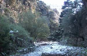 image n.3 of From Rethymno: Imbros Gorge & Libyan Guided Sea Tour activity in Crete, uploaded by supplier