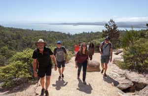 image n.3 of Hobart: Wineglass Bay & Freycinet Active Day Tour activity in Coles Bay, uploaded by supplier