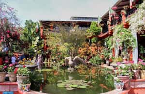 imatge núm.4 de l'activitat de Puerto Vallarta: Excursió als jardins botànics, destil·leria i cafè a Jalisco, penjada pel proveïdor