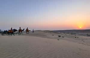 image n.3 of Desert Rose Jaisalmer: Luxury Tent In Thar Desert activity in Jaisalmer, uploaded by supplier