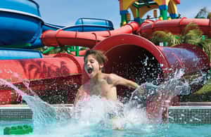 afbeelding n.4 van Dubai: Toegangskaart LEGOLAND® Waterpark activiteit in Dubai, geüpload door aanbieder