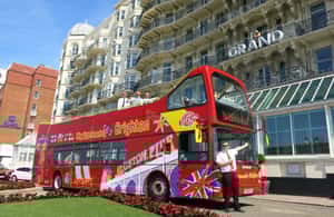 image n.4 of Brighton: City Sightseeing Hop-On Hop-Off Bus Tour activity in Brighton, uploaded by supplier