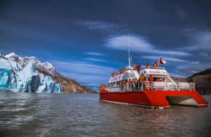 imagem n.4 de Desde Puerto Natales: Excursão ao Glaciar Grey atividade em Puerto Natales, carregada pelo fornecedor