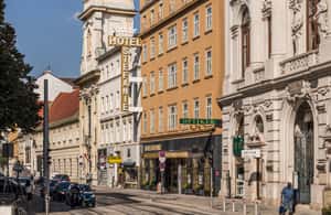 image n.3 of Vienna: Culinary Experience at Restaurant Stefanie activity in Vienna, uploaded by supplier