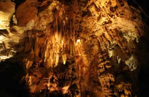image n.3 of From Belgrade: Manasija Monastery and Resava Cave Tour activity in Pomoravlje District, uploaded by supplier
