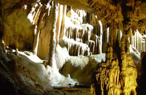 image n.4 of From Belgrade: Manasija Monastery and Resava Cave Tour activity in Pomoravlje District, uploaded by supplier
