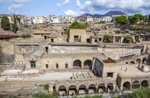 billede nr.4 af aktiviteten Herculaneum 2-timers privat guidet tur i Ercolano, uploadet af udbyder