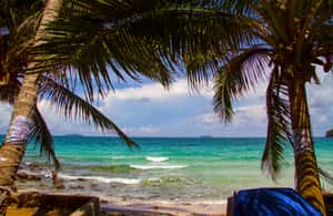 image n.4 of Phu Quoc Speedboat Trip: 3 Islands By Speedboat activity in Vietnam, uploaded by supplier