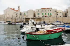 Bild Nr. 3 von Private Tour Giovinazzo: Schutz vor dem Meer und Schönheit Aktivität in Giovinazzo, hochgeladen vom Anbieter