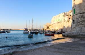 Bild Nr. 4 von Private Tour Giovinazzo: Schutz vor dem Meer und Schönheit Aktivität in Giovinazzo, hochgeladen vom Anbieter