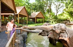 imagen n.º 4 de Zoo de Singapur: Ticket electrónico de entrada de 1 día actividad en Singapur, subida por el proveedor