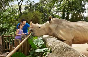 imagen n.º 3 de Zoo de Singapur: Ticket electrónico de entrada de 1 día actividad en Singapur, subida por el proveedor