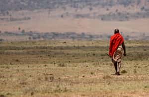 imagen n.º 4 de Amboseli: Safari de tres días actividad en Provincial Central de Kenia, subida por el proveedor