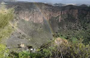 image n.3 of Private Bandama Caldera, Botanic Garden(/Wine*), Old Town activity in Las Palmas, uploaded by supplier