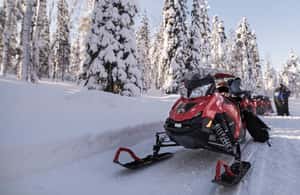 image n.4 of Rovaniemi: Easy Snowmobile Safari activity in Rovaniemi, uploaded by supplier