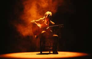 image n.3 of Seville: Live Flamenco Dancing Show Ticket at the Theater activity in Seville, uploaded by supplier