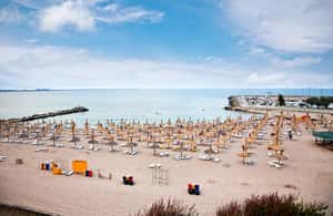 image n.3 of From Bucharest: Constanta and Black Sea Day Trip activity in Constanta, uploaded by supplier