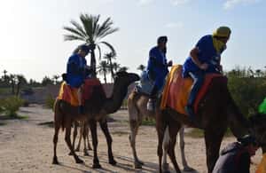 imagen n.º 4 de Alrededores de Marrakech: Paseo en camello por palmerales con té incluido actividad en Marrakech, subida por el proveedor