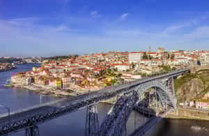 Bild Nr. 4 von Porto: Hop-On/Hop-Off-Bus mit optionaler Kreuzfahrt und Weinkeller Aktivität in Porto, hochgeladen vom Anbieter