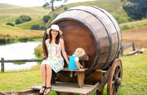 Image N°4 de Au départ d'Auckland : Circuit Hobbiton et Rotorua avec déjeuner à Te Puia activité à Rotorua, publiée par le prestataire