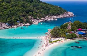 billede nr.3 af aktiviteten Fra Samui: Ko Tao og Koh Nang Yuan Speedboat dagsudflugt i Ko Tao, uploadet af udbyder