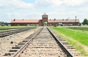 image n.3 of From Krakow: Auschwitz and Wieliczka Salt Mine Full-Day Trip activity in Wieliczka, uploaded by supplier