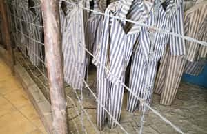 image n.4 of From Krakow: Auschwitz and Wieliczka Salt Mine Full-Day Trip activity in Wieliczka, uploaded by supplier