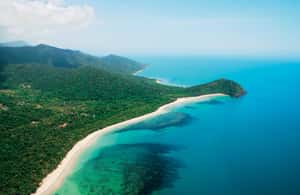 image n.3 of Cairns: Daintree, Mossman Gorge, & Cape Tribulation Day Trip activity in Queensland, uploaded by supplier
