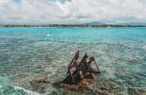 Image N°3 de Maurice : Visite d'une jounée en bateau à moteur à l'île aux Cerfs & BBQ activité à Maurice, publiée par le prestataire